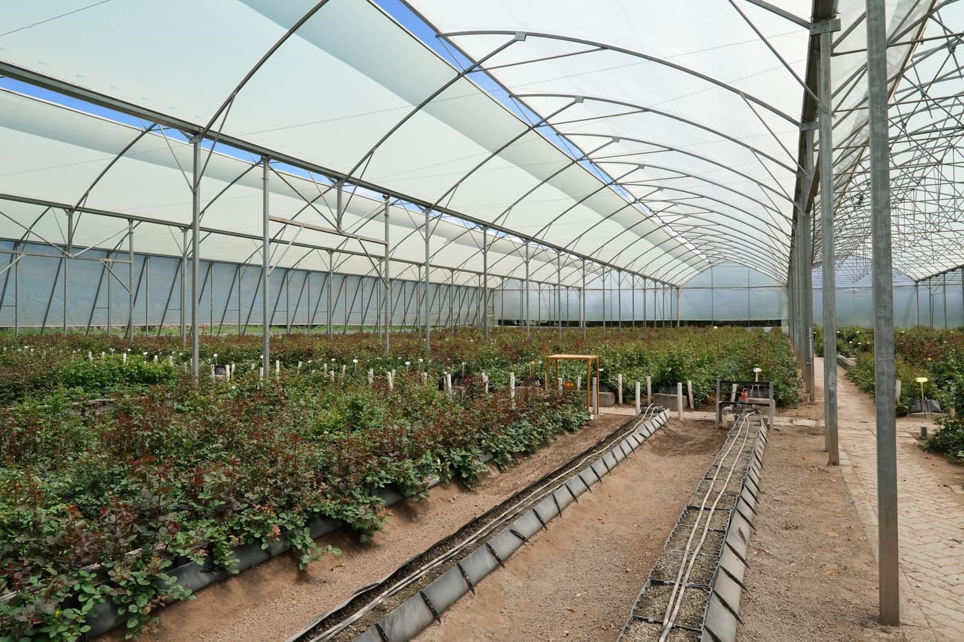 Healthier plants, smaller bills — the daily rounds run themselves